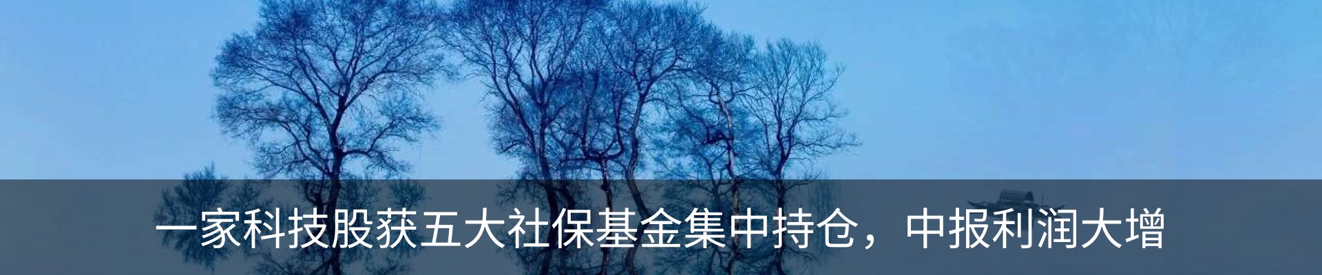 新闻动态