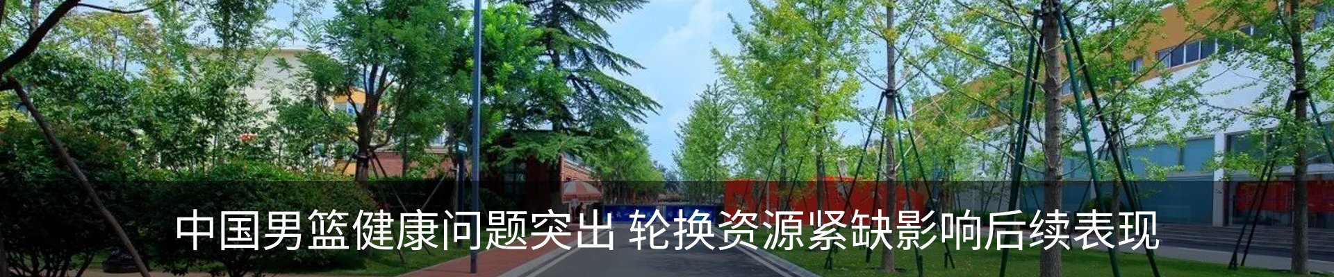 新闻动态