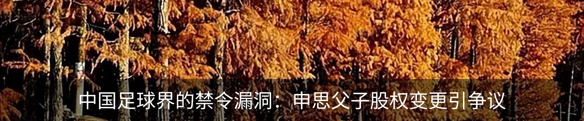 新闻动态