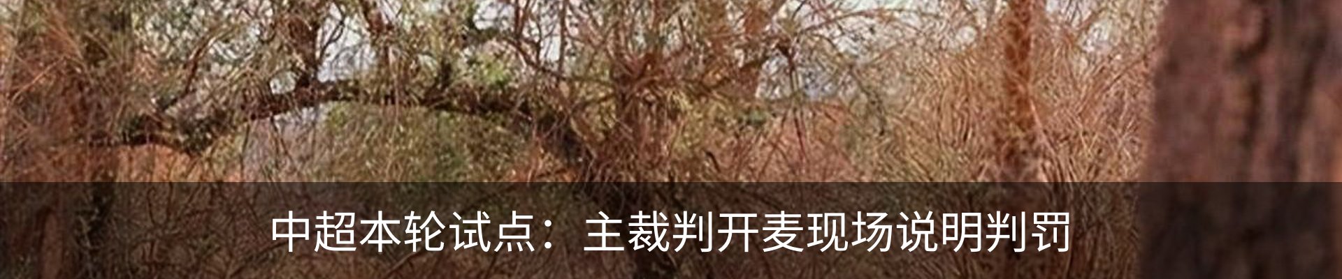 新闻动态