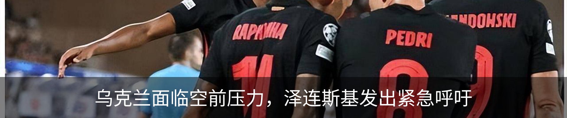 新闻动态