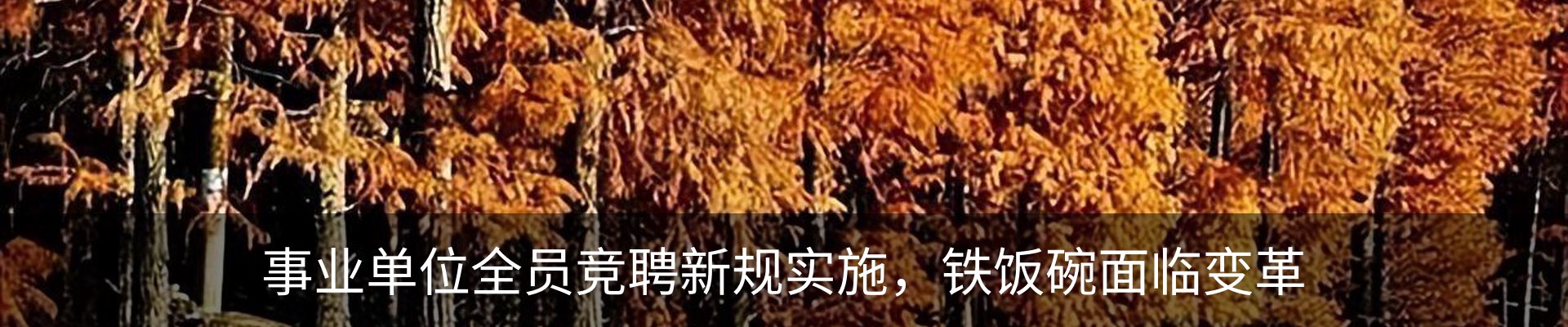 新闻动态