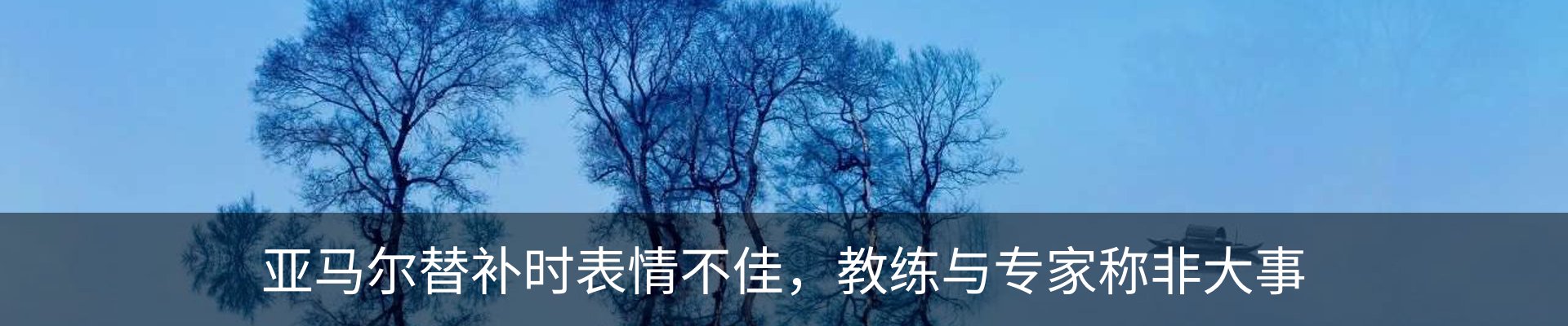 新闻动态