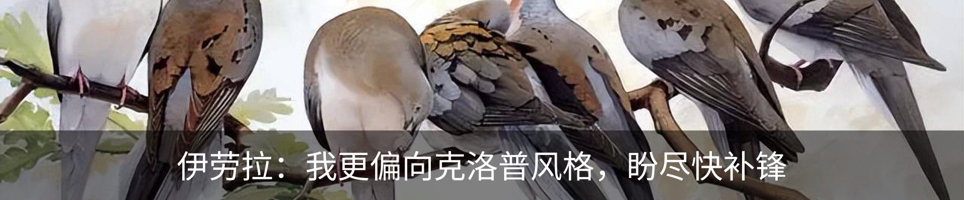 新闻动态