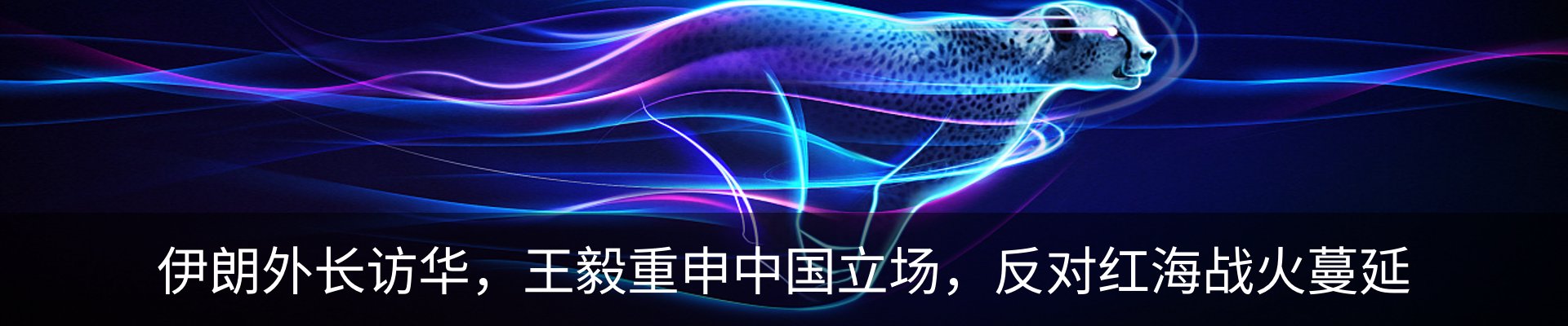 新闻动态