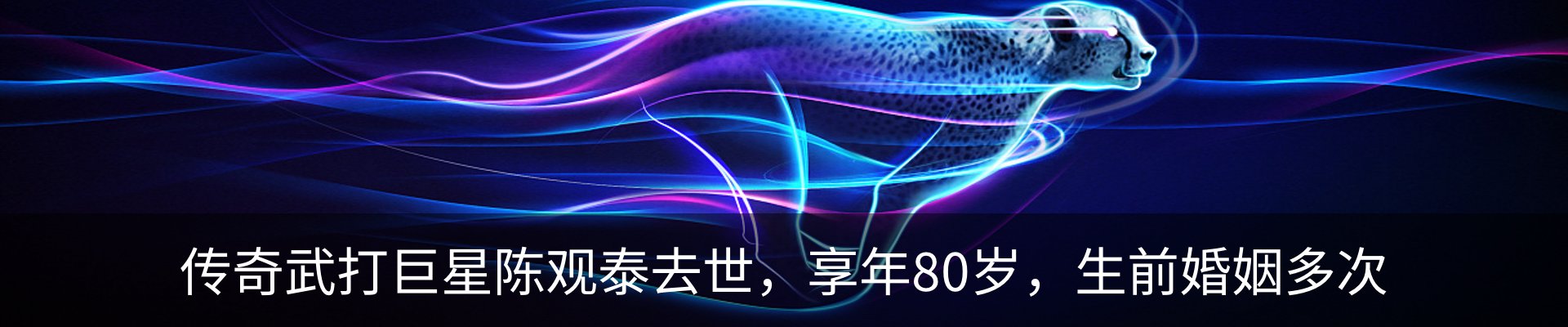 新闻动态