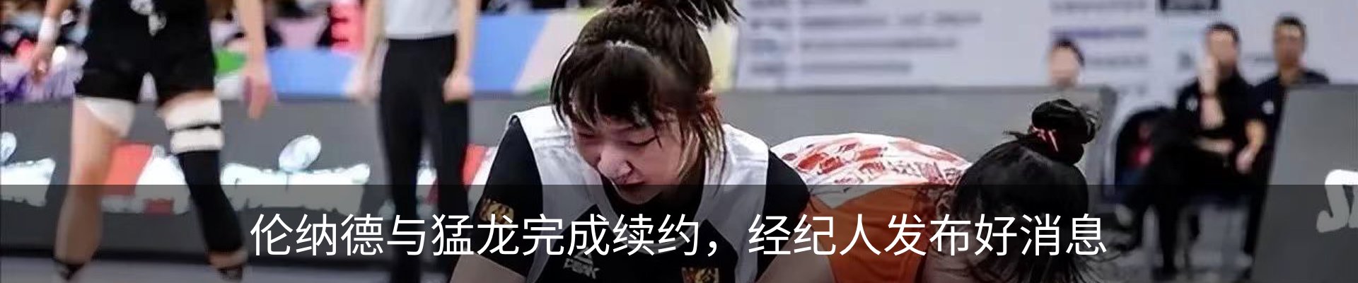 新闻动态