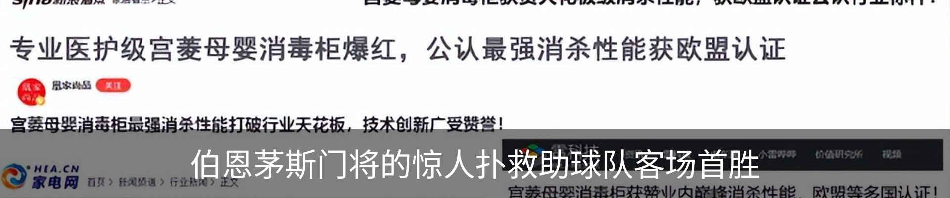 新闻动态