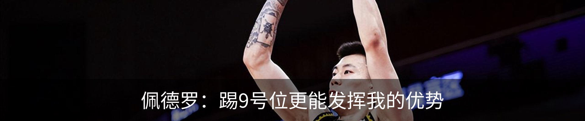 新闻动态