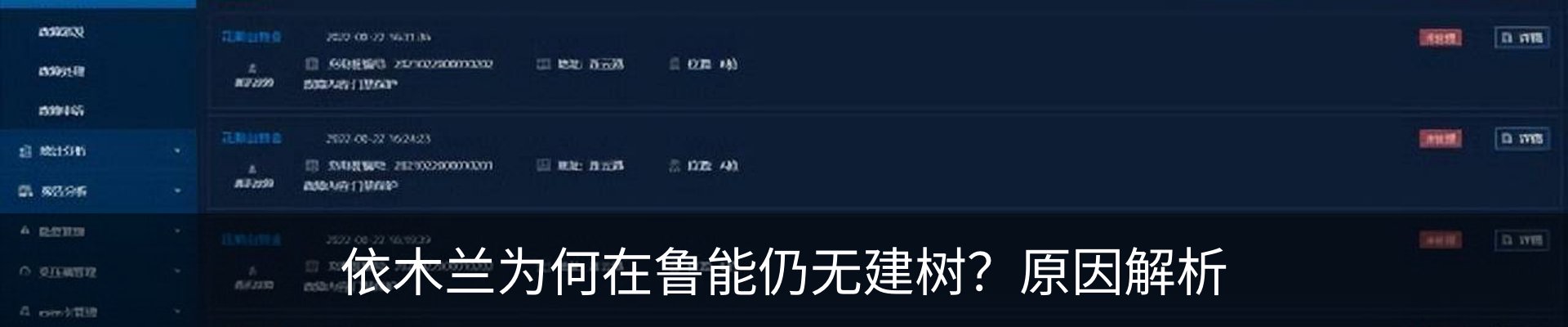 新闻动态