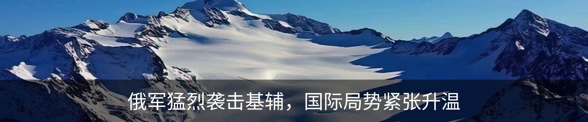 新闻动态