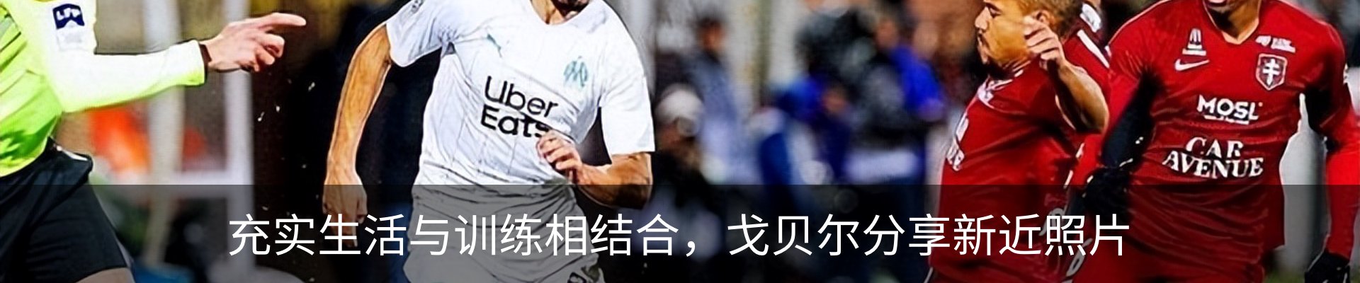 新闻动态