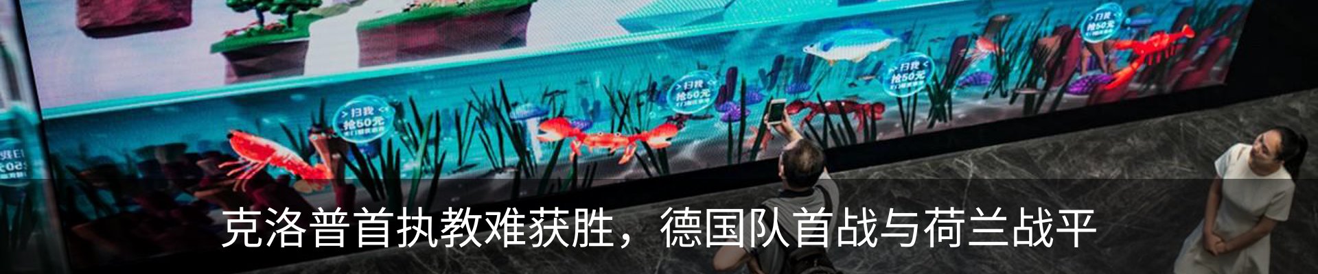 新闻动态