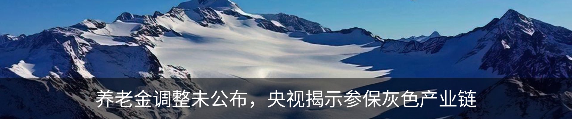 新闻动态
