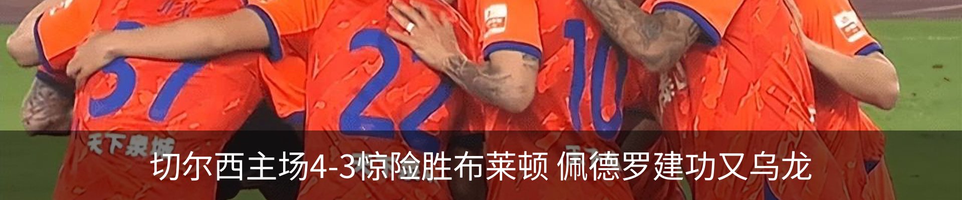 新闻动态