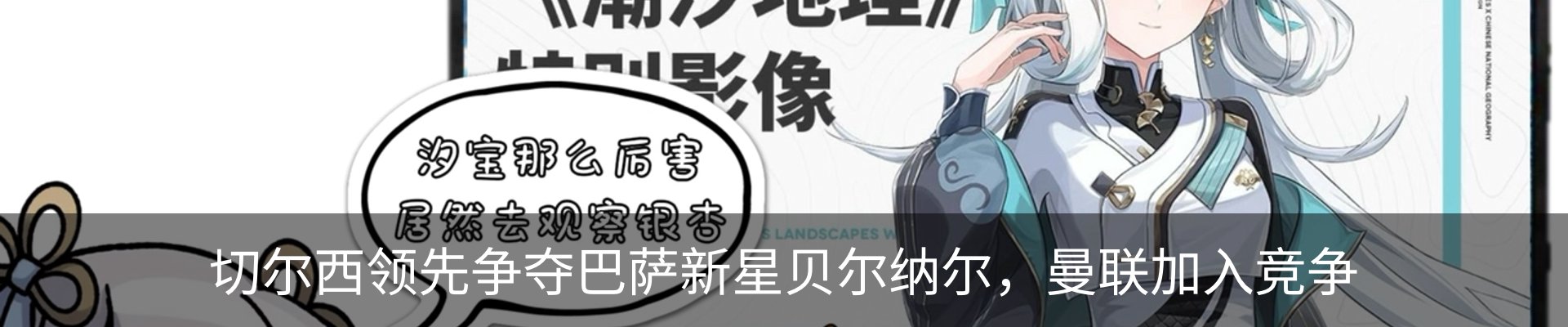 新闻动态
