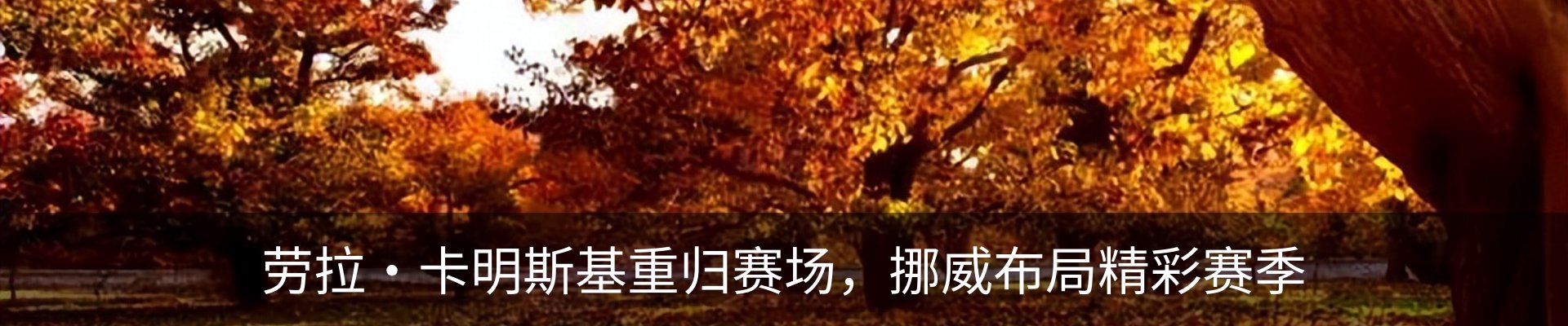 新闻动态