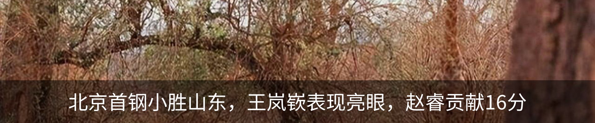 新闻动态