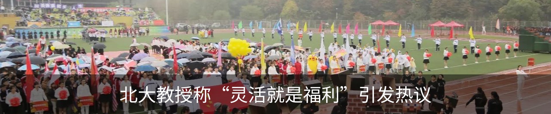 新闻动态