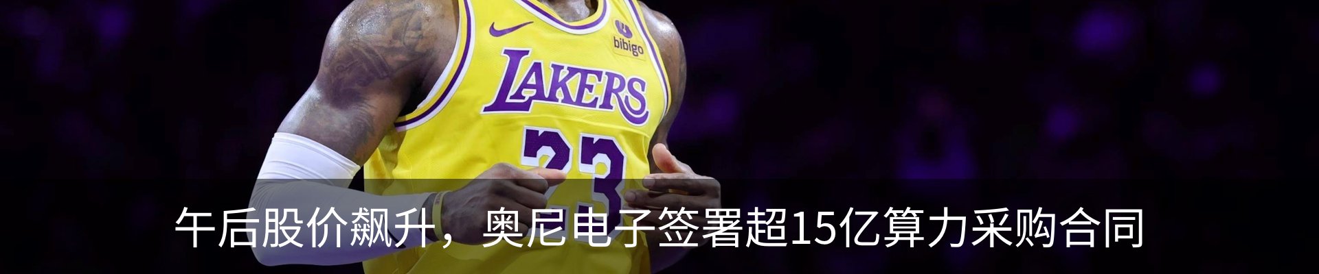 新闻动态