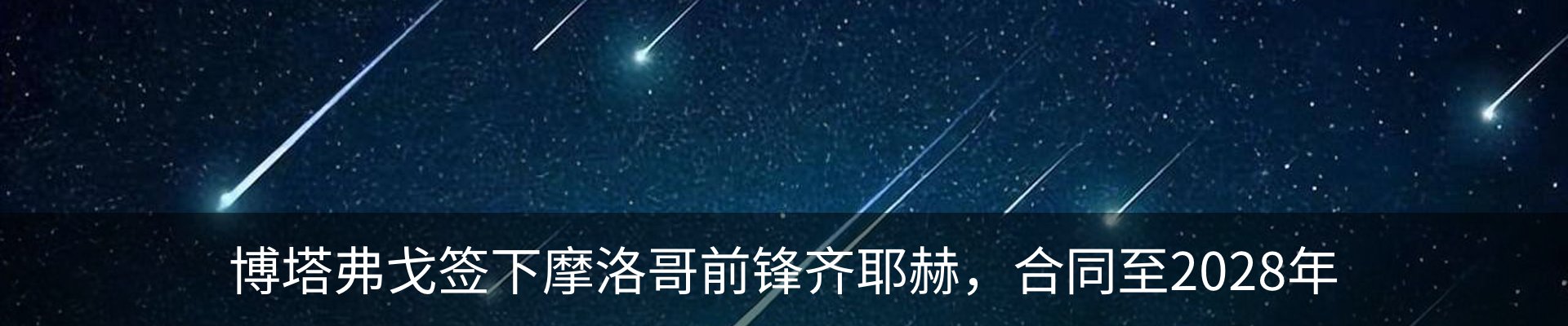新闻动态