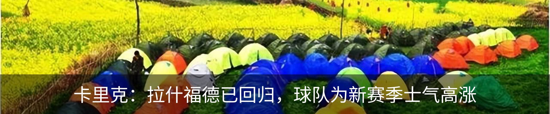 新闻动态