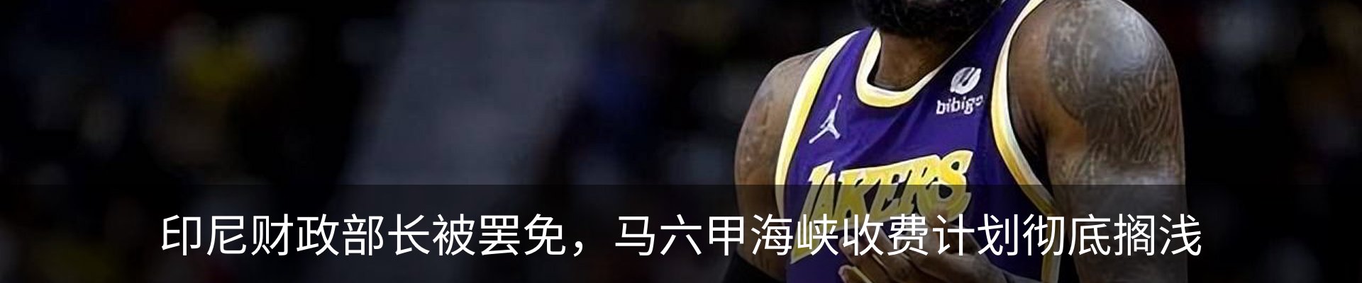 新闻动态