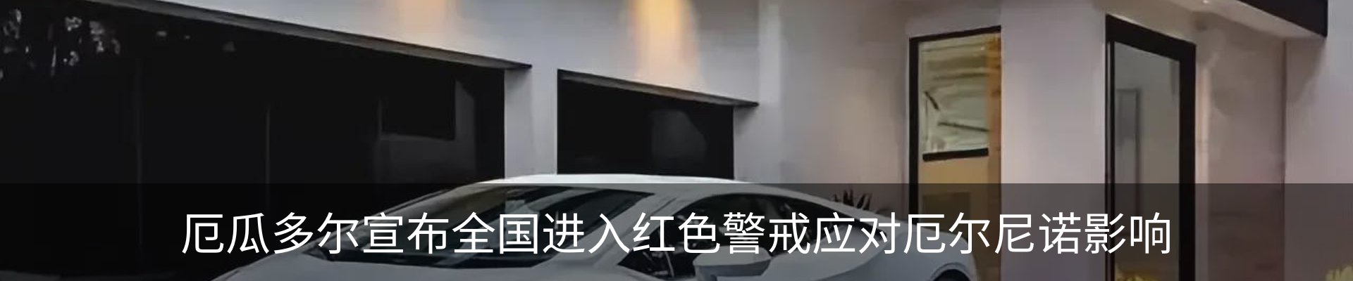 新闻动态