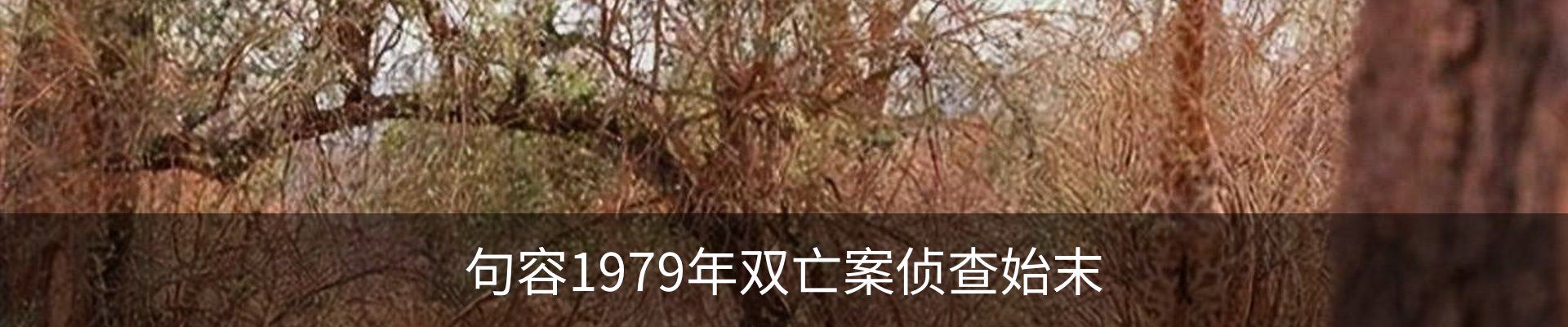 新闻动态