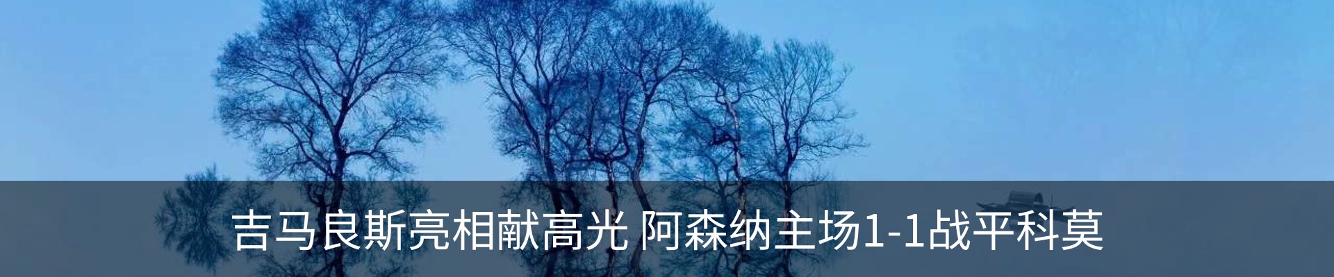 新闻动态