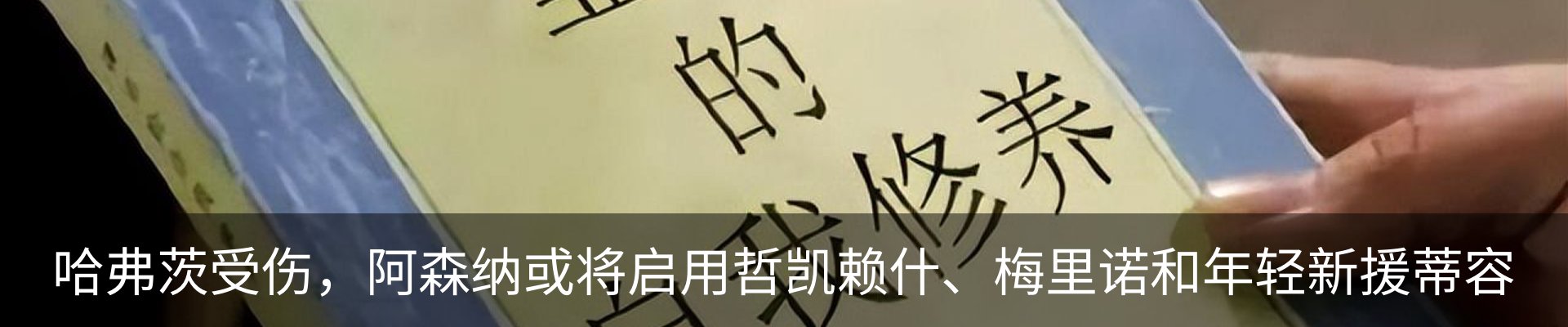 新闻动态