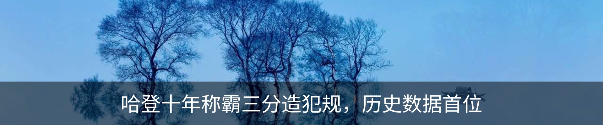 新闻动态