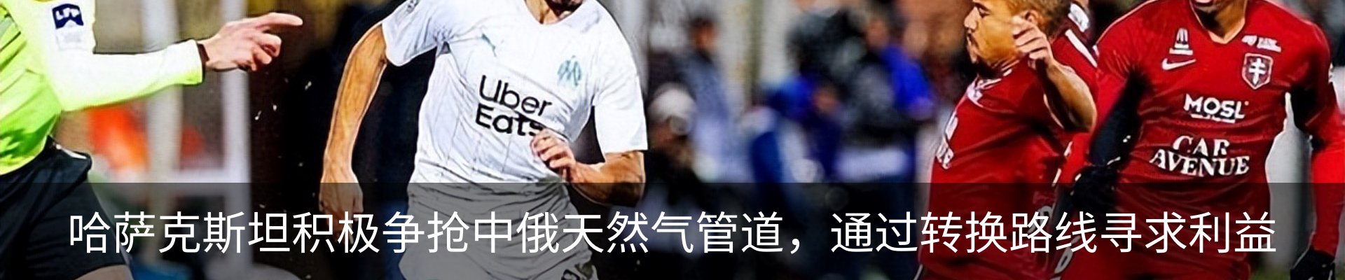 新闻动态