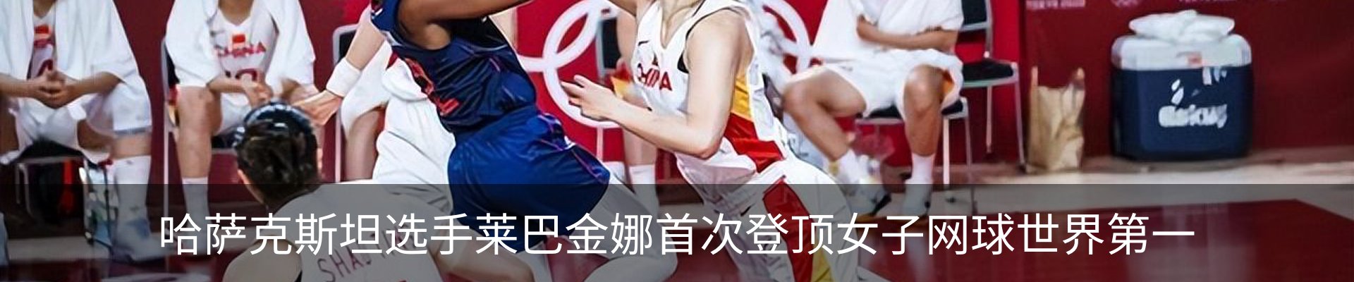 新闻动态