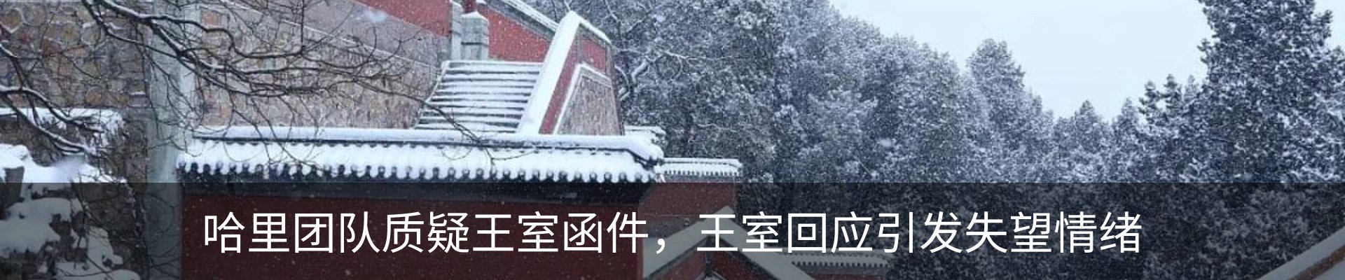 新闻动态