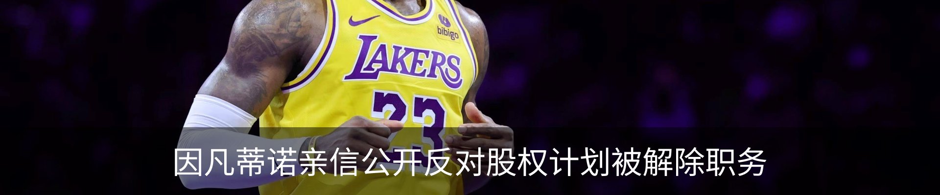 新闻动态