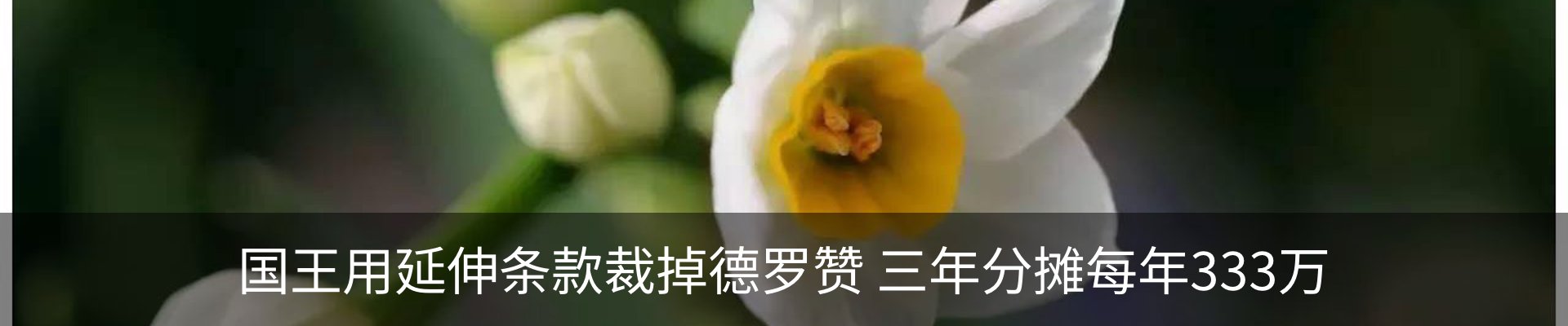 新闻动态