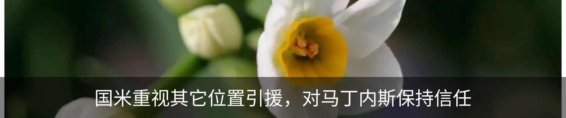 新闻动态