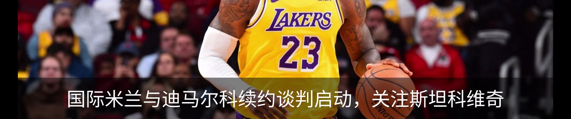 新闻动态