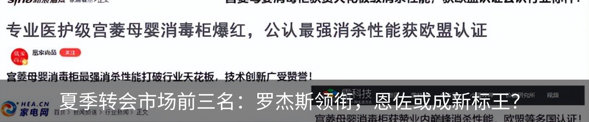 新闻动态