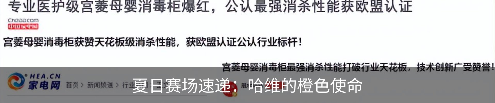 新闻动态