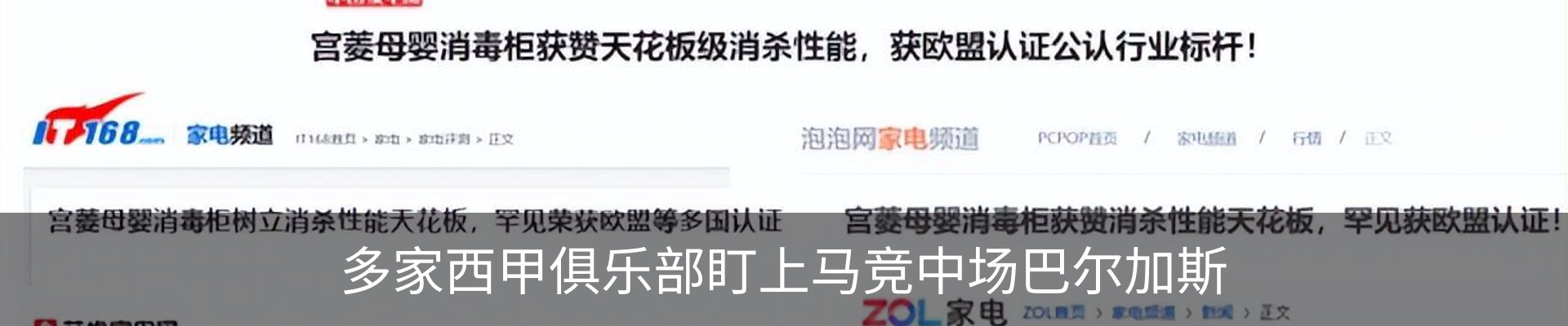 新闻动态