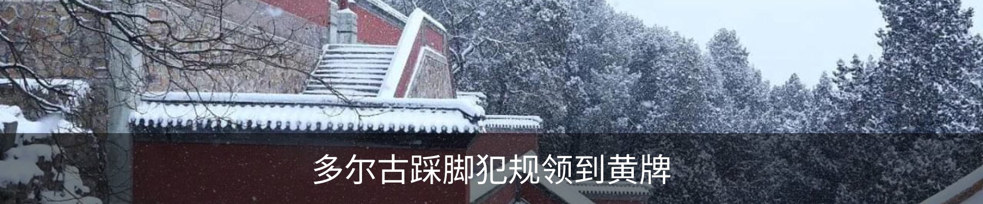 新闻动态