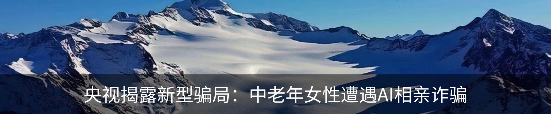 新闻动态