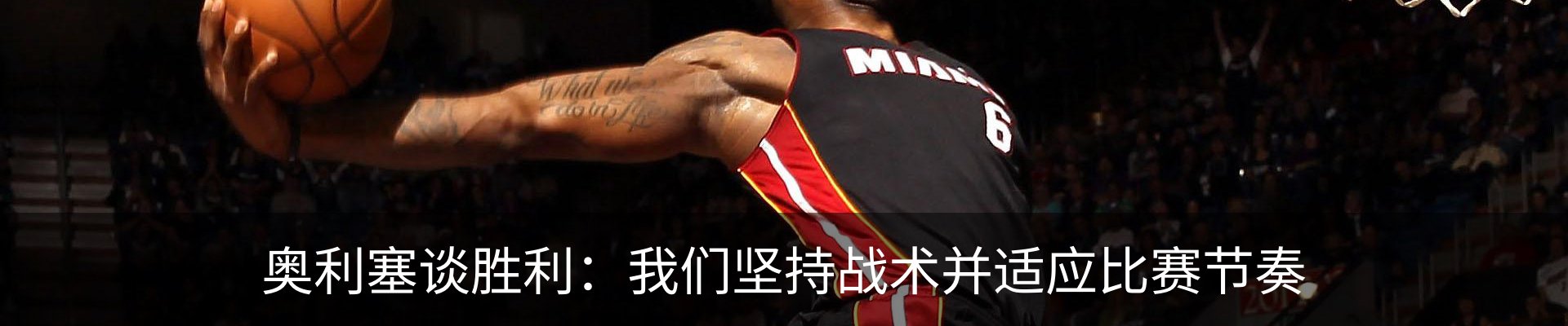 新闻动态