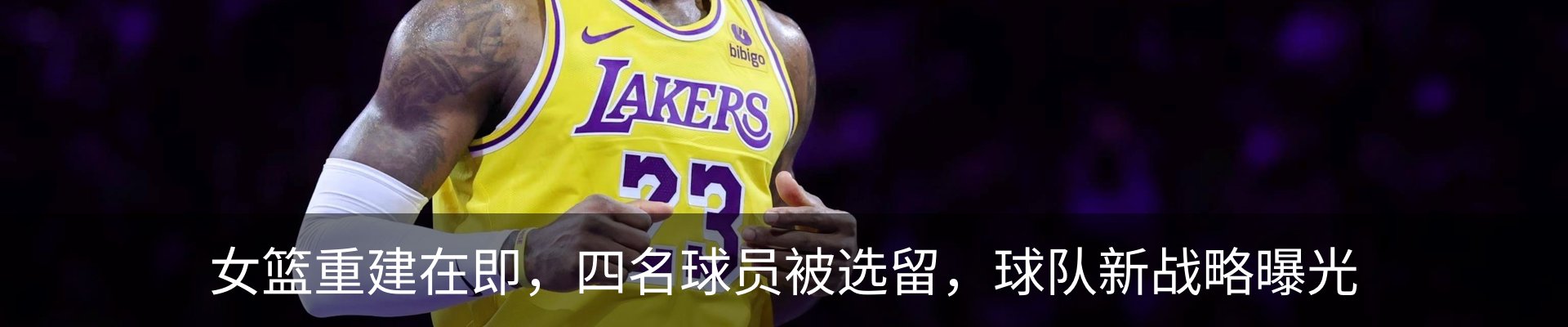 新闻动态