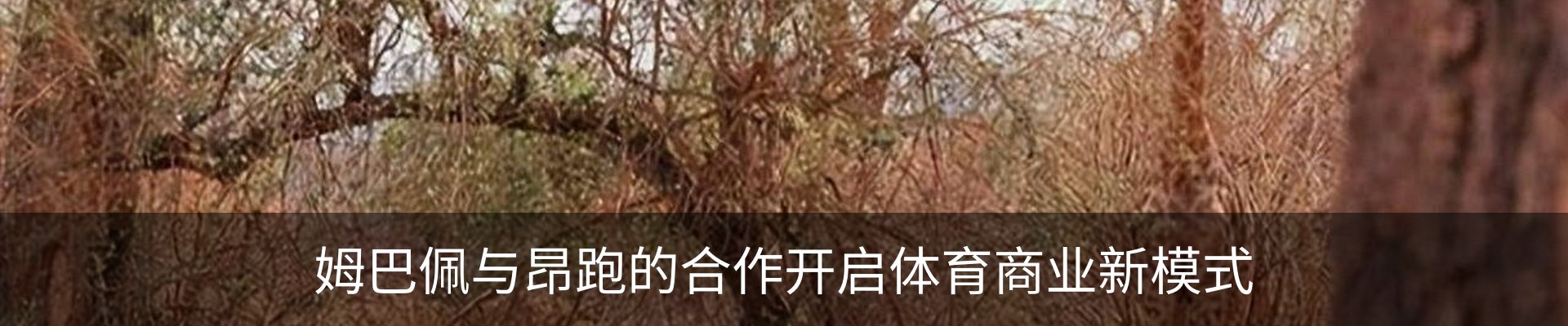 新闻动态