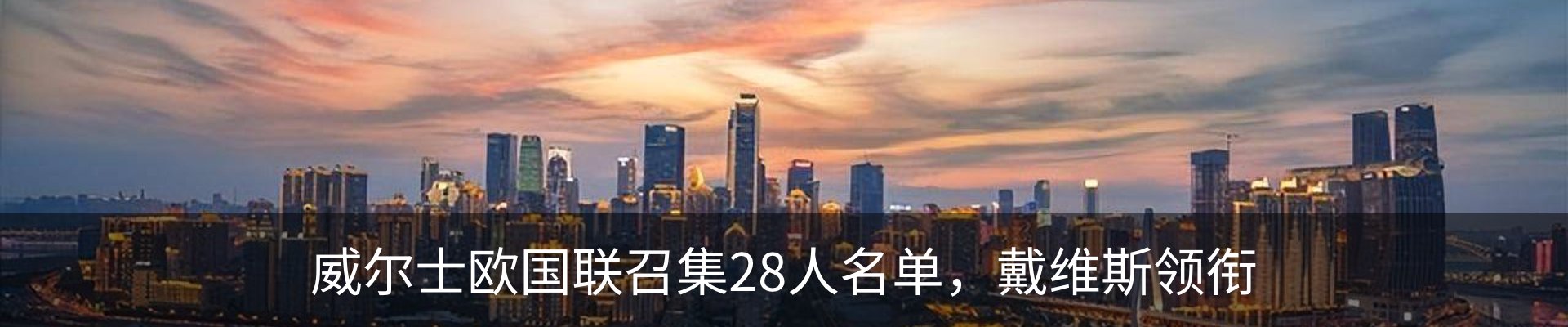 新闻动态