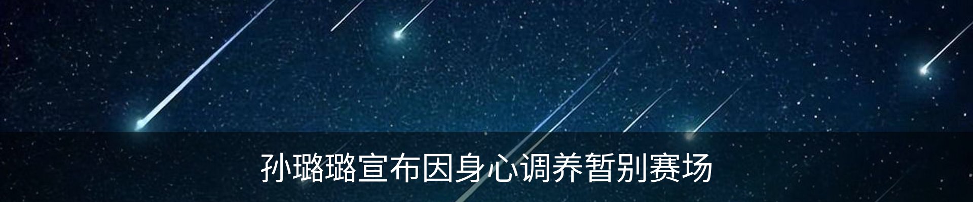 新闻动态