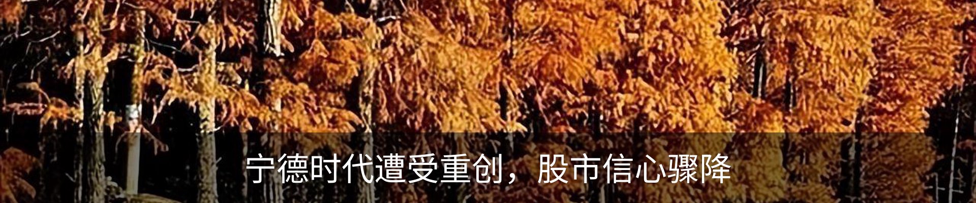 新闻动态